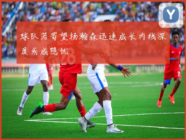 球队若寄望杨瀚森迅速成长内线深度或成隐忧